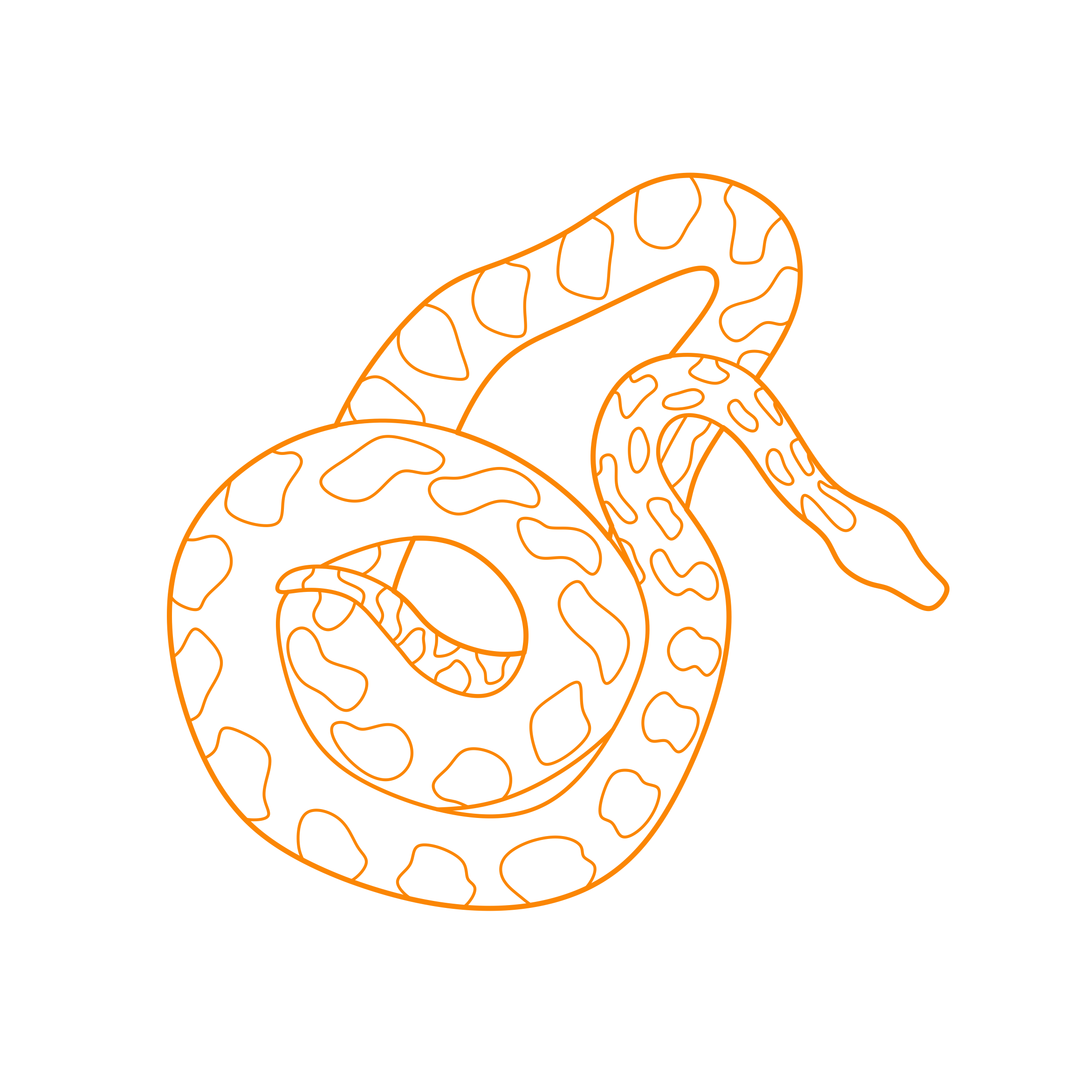Animals Snakes Reticulated Python Tracing Svg Vector Free Vectors